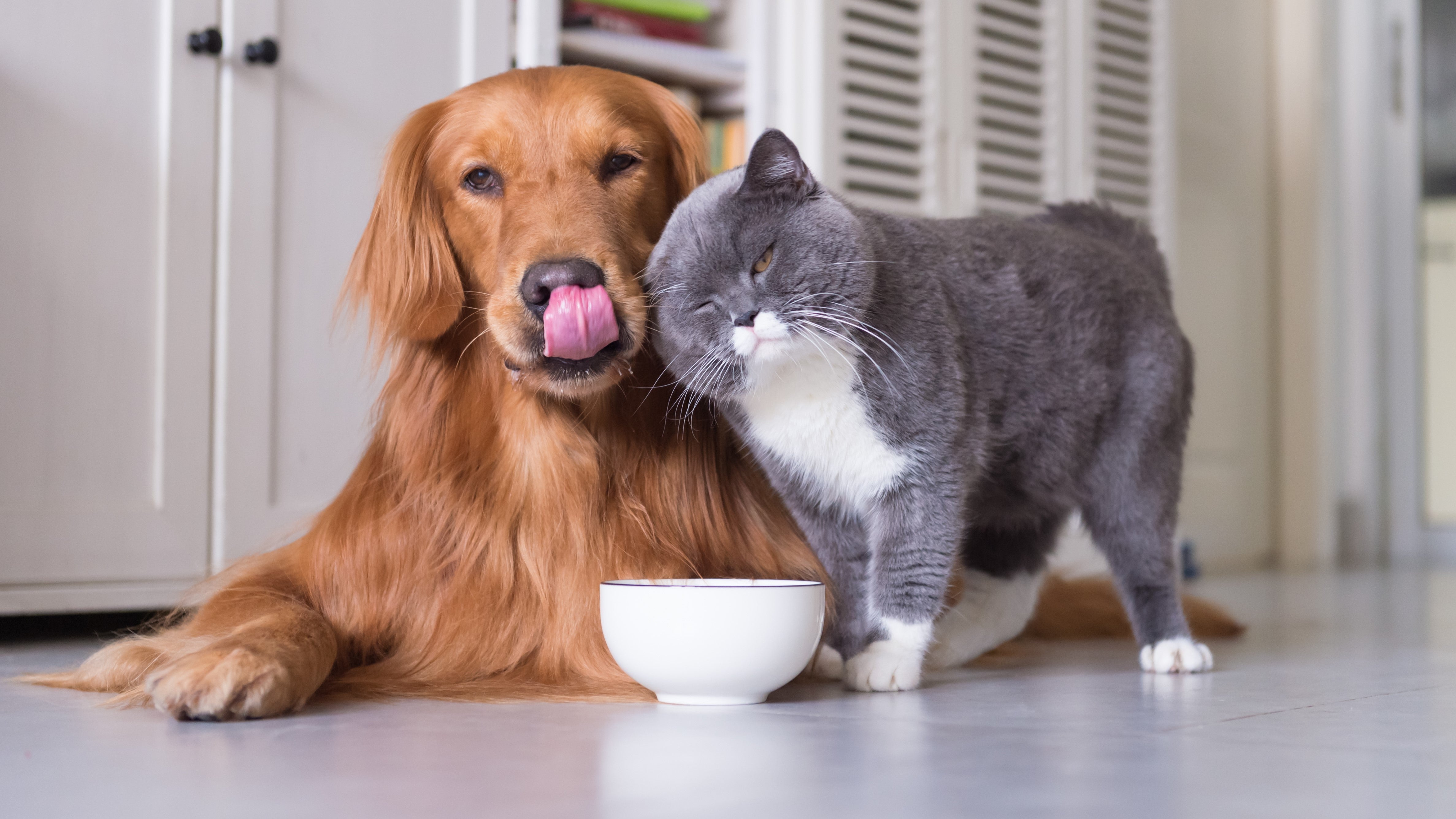Care in Every Pack